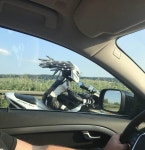 Daily Picdump  (92 pics) - Picture #7 - Izismile.com Daily Picdump  (92 pics)