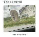 저희 마을은 개집러를 환영합니다.