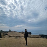 기아 더 뉴 쏘렌토 디젤 대구 - 중고차 구매는 KB차차차 KB차차차 중고차