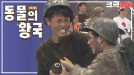 | ＃유머1번지 ＃쇼비디오자키 ＃동물의왕국 ＃심형래 ＃박승대 ＃김학래 ＃임미숙 ＃김의환| KBS 방송 - KBS [크큭티비] 동물의왕국 : 이걸... 