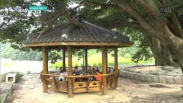 마을 피서지 궁터마을에서 먹는 정겨운 시골밥상 - 경북 문경 - KBS