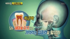 70대, 치매를 예방해야 건강한 100세를 맞이할 수 있다! - KBS