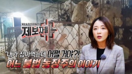 VOD 페이지