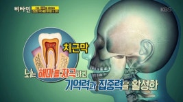 70대, 치매를 예방해야 건강한 100세를 맞이할 수 있다! - KBS