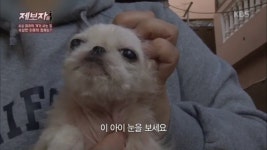 수십마리의 개가 사는 집, 수상한 이웃의 정체는? - KBS