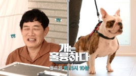 [2회 예고] “미안해,죽겠네!＂이경규를 당황시킨 3년 만에 만난 두림이! ＜개는 훌륭하다＞ - KBS