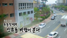 도농 직거래, 신 유통 바람이 분다 | 디지털 KBS 도농 직거래, 신 유통 바람이 분다