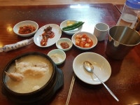 성신여대 원조한방삼계탕