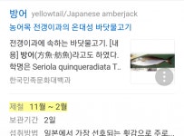 구구수산 