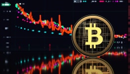Musks disruptive impact on crypto-assets to be limited - The Korea Times Musks disruptive impact on crypto-assets to be... 