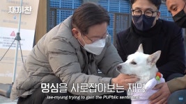 Animal rights becomes presidential campaign issue - The Korea Times Animal rights becomes presidential campaign issue 