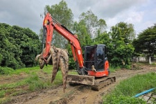 Thai farm culls 125 crocodiles as floodwaters rise - The Korea Times Thai farm culls 125 crocodiles as floodwaters rise 