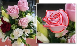 삼성노트 – Samsung Newsroom Korea 삼성노트 - Samsung Newsroom Korea