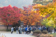 삼성전자 – Page 7 – Samsung Newsroom Korea 삼성전자 - Samsung Newsroom Korea