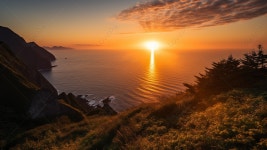  풀과 나무가 있는 바다 위로 일출