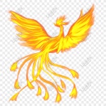 중국식 피닉스
