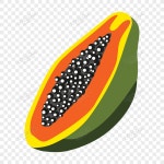 맛있는 슬라이스 파파야 벡터 PNG 일러스트 무료 다운로드 - Lovepik 맛있는 슬라이스 파파야 벡터