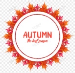 추상 가을 잎 둥근 프레임 PNG 일러스트 무료 다운로드 - Lovepik 추상 가을 잎 둥근 프레임