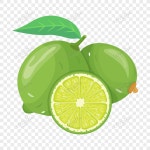 클레멘타인 PNG 일러스트 및 벡터 이미지 | 무료 다운로드 - Lovepik