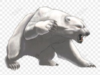 화난 백곰 PNG 일러스트 무료 다운로드 - Lovepik 화난 백곰