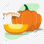 호박 벡터 일러스트 레이 션 PNG 일러스트 무료 다운로드 - Lovepik 호박 벡터 일러스트 레이 션
