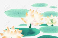  연잎