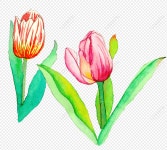 꽃 PNG 일러스트 무료 다운로드 - Lovepik 꽃