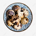 오향 PNG 일러스트 및 벡터 이미지 | 무료 다운로드 - Lovepik