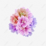 꽃 PNG 일러스트 무료 다운로드 - Lovepik 꽃