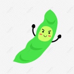  콩 표현