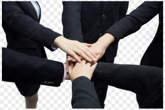 새빛행정사사무소 이미지