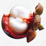  산대나무