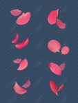 붉은 장미 꽃잎 요소 디자인 PNG 일러스트 무료 다운로드 - Lovepik 붉은 장미 꽃잎 요소 디자인