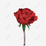 손으로 그린 원래 상업 요소 장미 PNG 일러스트 무료 다운로드 - Lovepik 손으로 그린 원래 상업 요소 장미