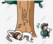  동화 속의 거북이와 토끼 경주