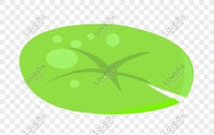 만화 손으로 그린 연꽃 잎 벡터 PNG 일러스트 무료 다운로드 - Lovepik 만화 손으로 그린 연꽃 잎 벡터