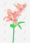 기타 스타일 플라워 릴리 Png PNG 일러스트 무료 다운로드 - Lovepik 기타 스타일 플라워 릴리 Png