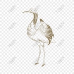 화이트 크레인 벡터 일러스트 레이 션 Png PNG 일러스트 무료 다운로드 - Lovepik 화이트 크레인 벡터 일러스트 레이 션 Png