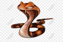 냉혈 이미지, 사진 및 PNG 일러스트 무료 다운로드 - Lovepik 냉혈 이미지, 사진 및 PNG 일러스트 무료 다운로드 - Lovepik 