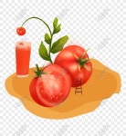 과일을 테마로하는 토마토 PNG 일러스트 무료 다운로드 - Lovepik 과일을 테마로하는 토마토
