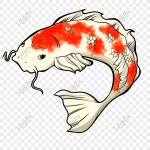  손으로 그려진 된 풍부한 잉어 그림