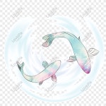 수채화 코이 신선한 코이 PNG 일러스트 무료 다운로드 - Lovepik 수채화 코이 신선한 코이