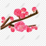 작은 물건 화상, 꽃, 자두 꽃, 공짜 물건 PNG 일러스트 무료 다운로드 - Lovepik 작은 물건 화상, 꽃, 자두 꽃, 공짜 물건