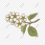아로마 정원 만화 일러스트 레이션 PNG 일러스트 무료 다운로드 - Lovepik 아로마 정원 만화 일러스트 레이션