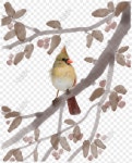 손으로 그려진 된 펜 잉크 새 트리 그림 PNG 일러스트 무료 다운로드 - Lovepik 손으로 그려진 된 펜 잉크 새 트리 그림