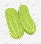 녹색 오이 손으로 그린 그림 PNG 일러스트 무료 다운로드 - Lovepik 녹색 오이 손으로 그린 그림