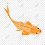 오렌지 코이피쉬 PNG 일러스트 및 벡터 이미지 | 무료 다운로드 - Lovepik