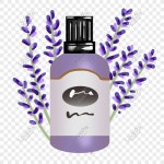 보라색 테라피 PNG 일러스트 및 벡터 이미지 | 무료 다운로드 - Lovepik