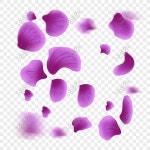 떠 다니는 보라색 꽃 꽃잎 일러스트 레이션 PNG 일러스트 무료 다운로드 - Lovepik 떠 다니는 보라색 꽃 꽃잎 일러스트 레이션