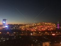 새둥지 사진 무료 다운로드 - Lovepik 새둥지